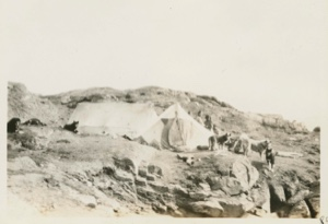 Image: Eskimo [Inuit] tents